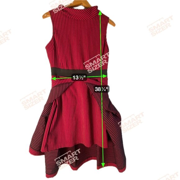 Eva Mendes Red Black Striped Fit & Flare Sleeveless Dress M Cowl Neck Belted - Picture 11 of 12